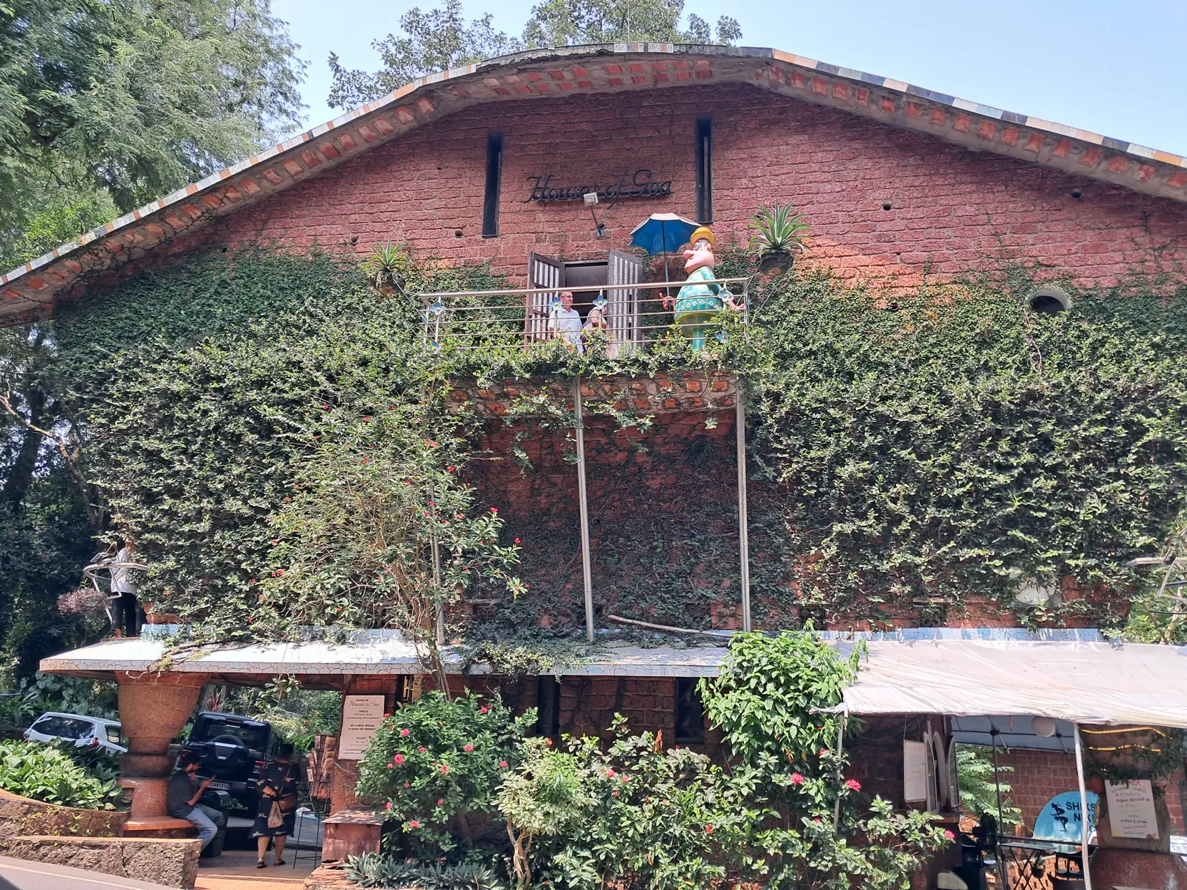 Houses of Goa, covered in creepers