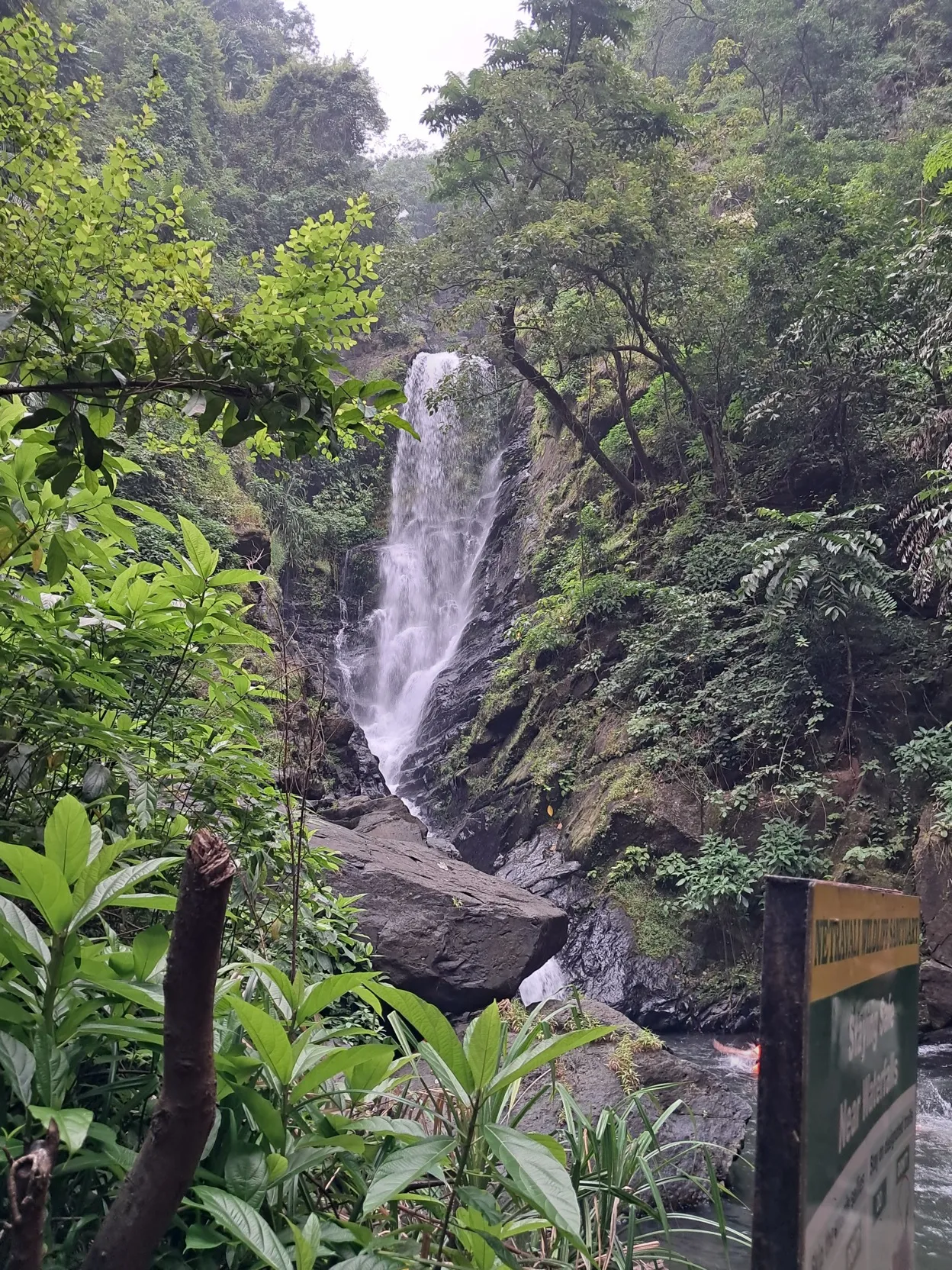 Savri waterfall inside Netravali Wildlife Sanctuary